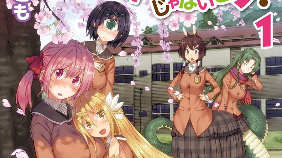 I Am Not a Succubus! Vol. 1 Paperback